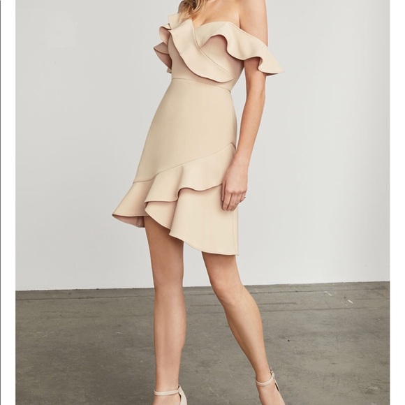 BCBGMaxAzria Dresses & Skirts - Beautiful BCBG MALIK dress in bare pink color